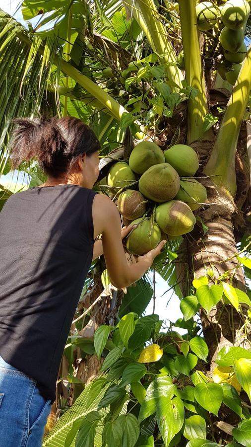 Nuch'S Apple Guest House Si Bun Ruang Exterior foto